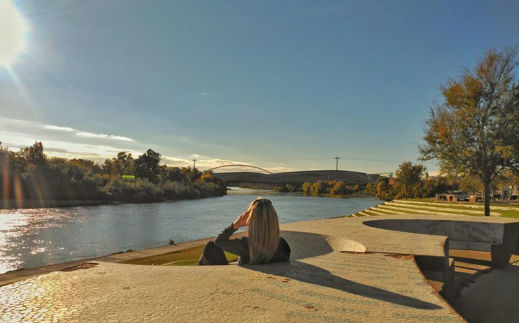 Ferienwohnung Mirador Del Ebro Saragossa Exterior foto